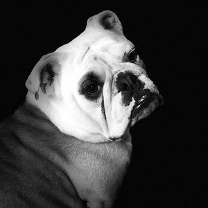 Meet your Posher, Ccourtney